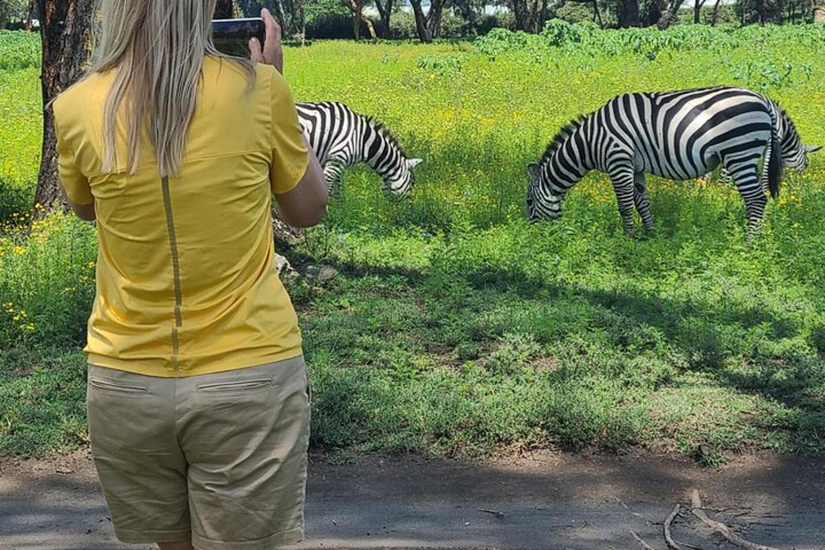 una donna che scatta una foto alle zebre in un campo