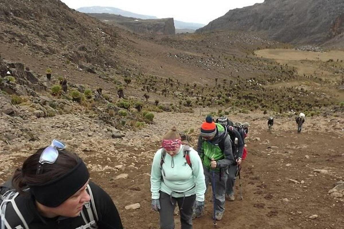 un gruppo di persone che camminano su un sentiero di montagna