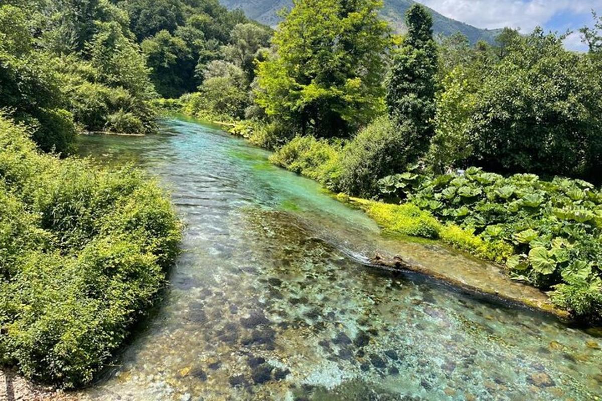 an aerial view of a river in a forest