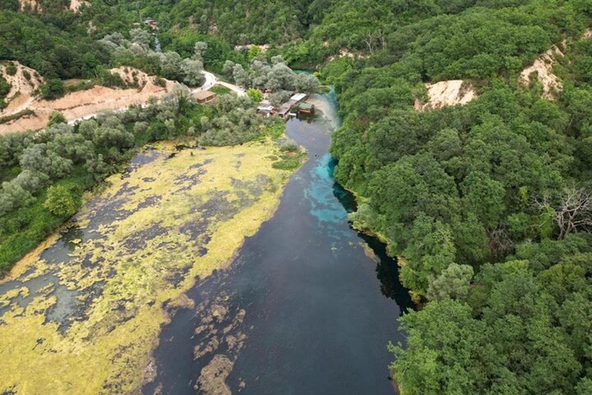 an aerial view of a river with trees