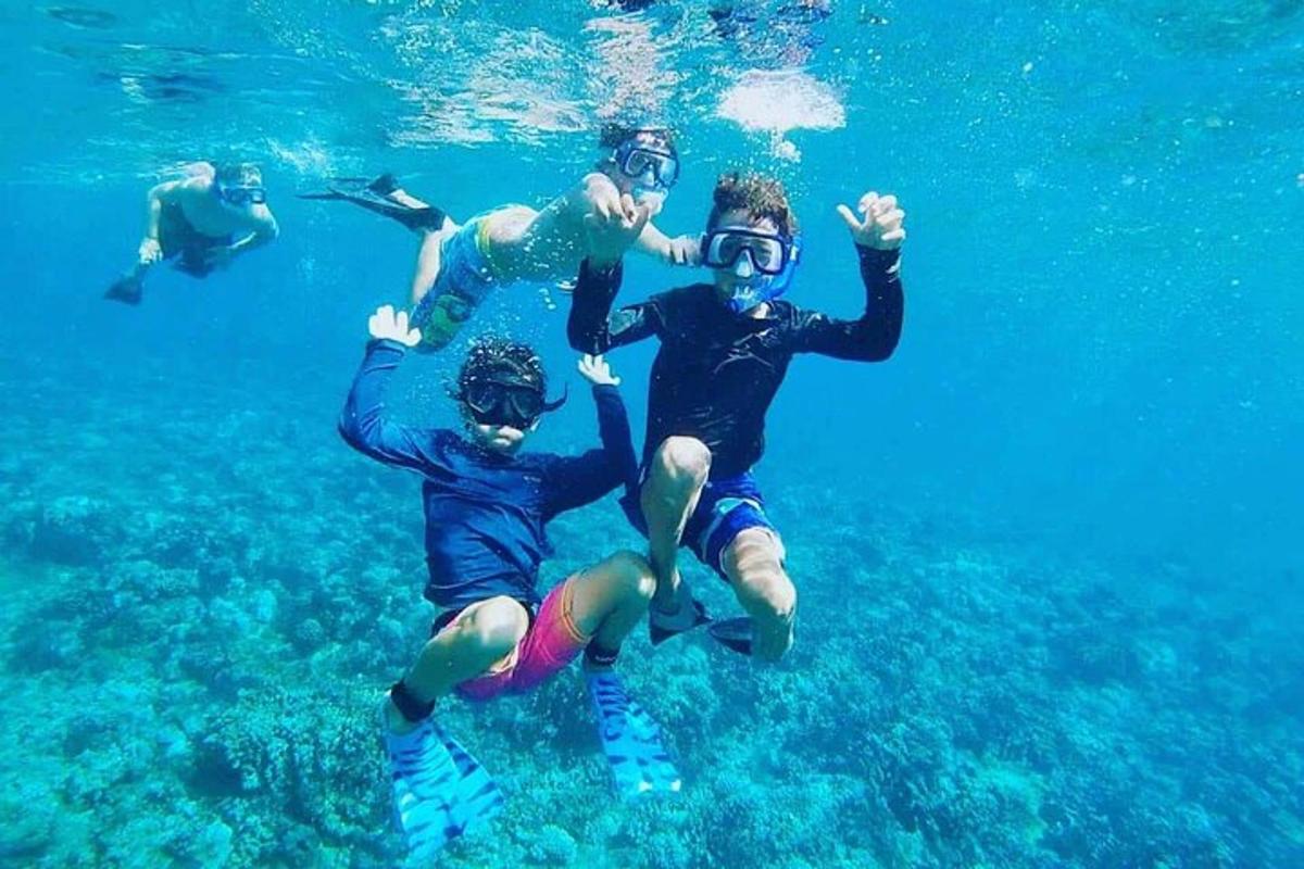 مجموعة من الناس يسبحون في الماء