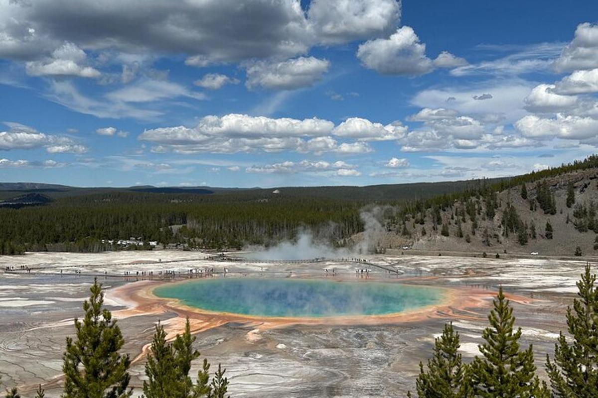 una grande pozza d'acqua in mezzo a un campo