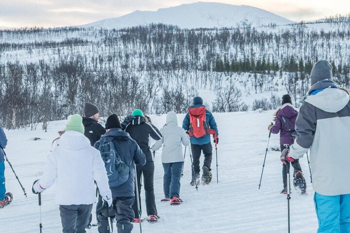 un grup de persones amb esquís a la neu