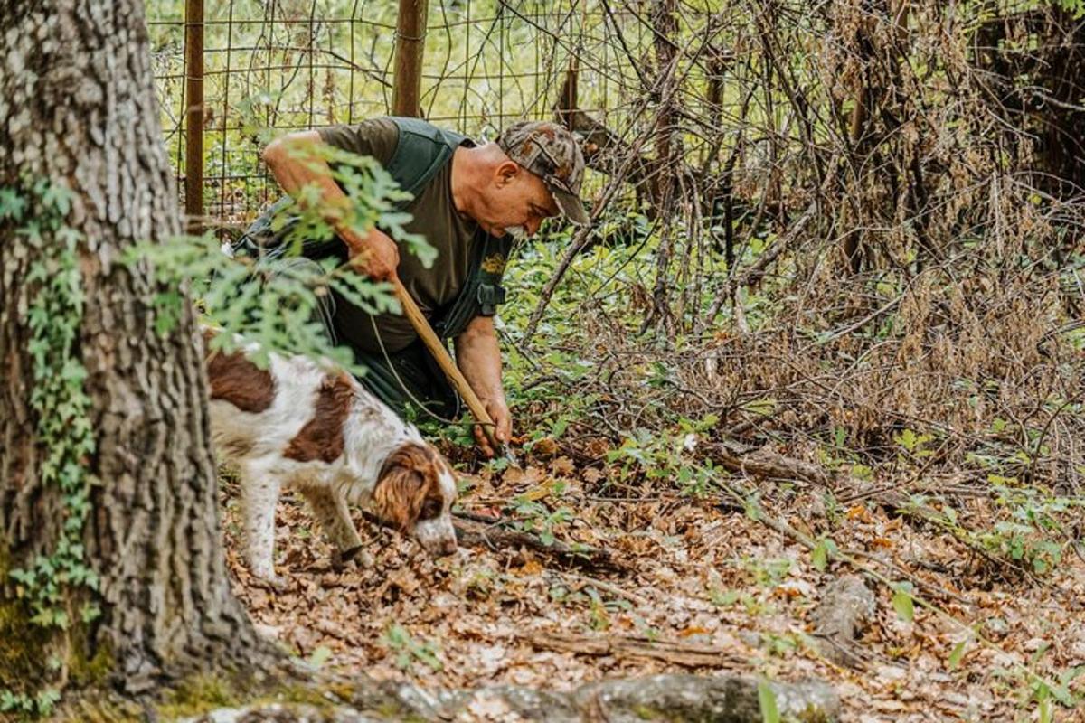 seorang lelaki melihat seekor anjing di dalam hutan