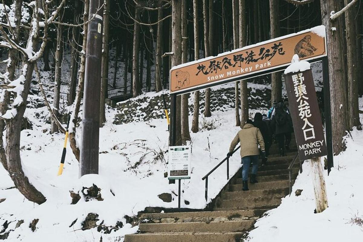 uma pessoa subindo uma escada na neve