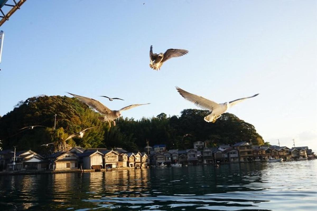 một nhóm chim bay trên mặt nước