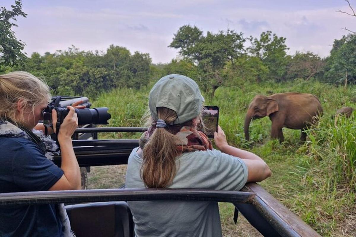 a woman taking a picture of an elephant with a camera