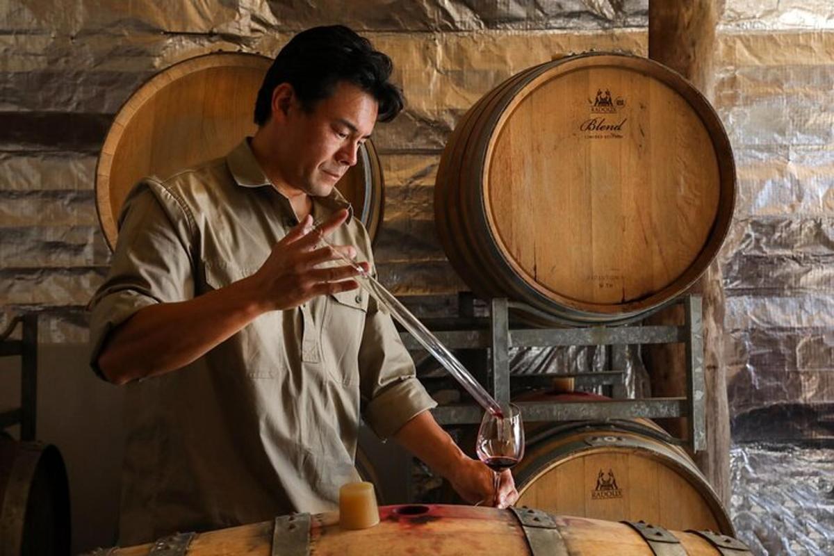 un uomo che beve un bicchiere di vino davanti a delle botti