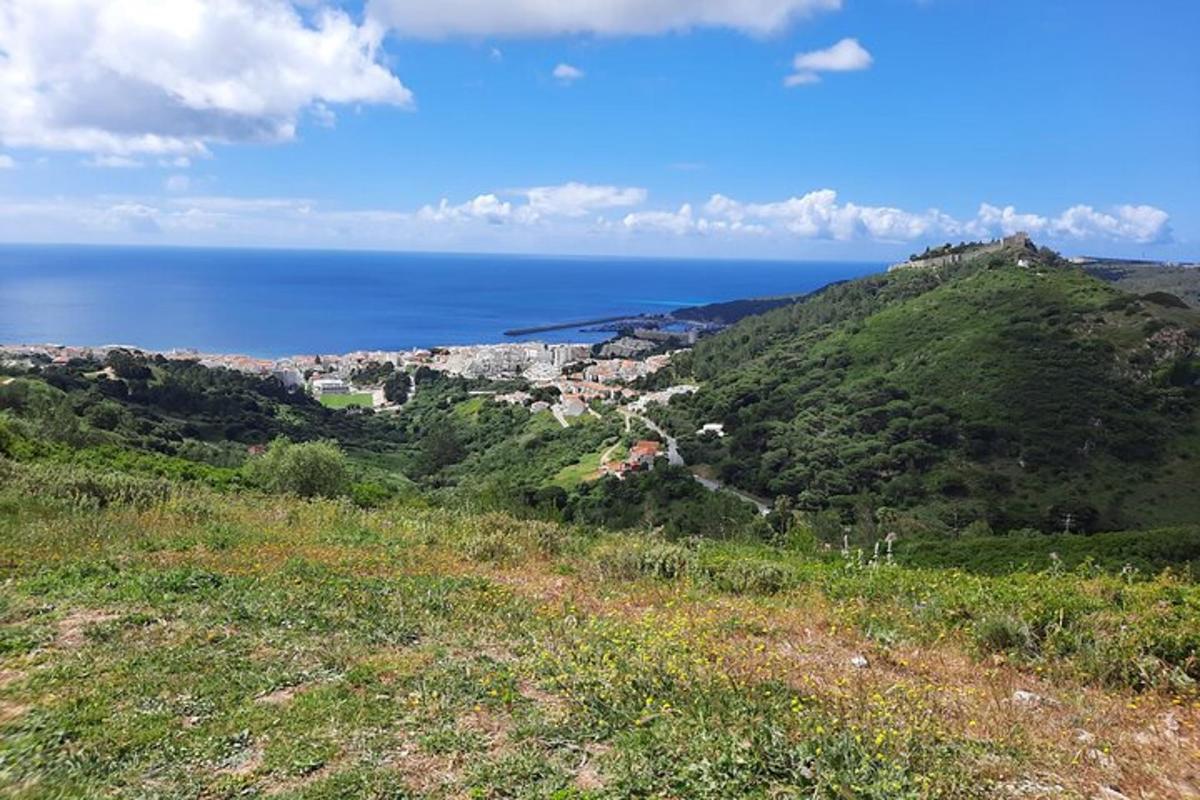 una collina verde con l'oceano sullo sfondo