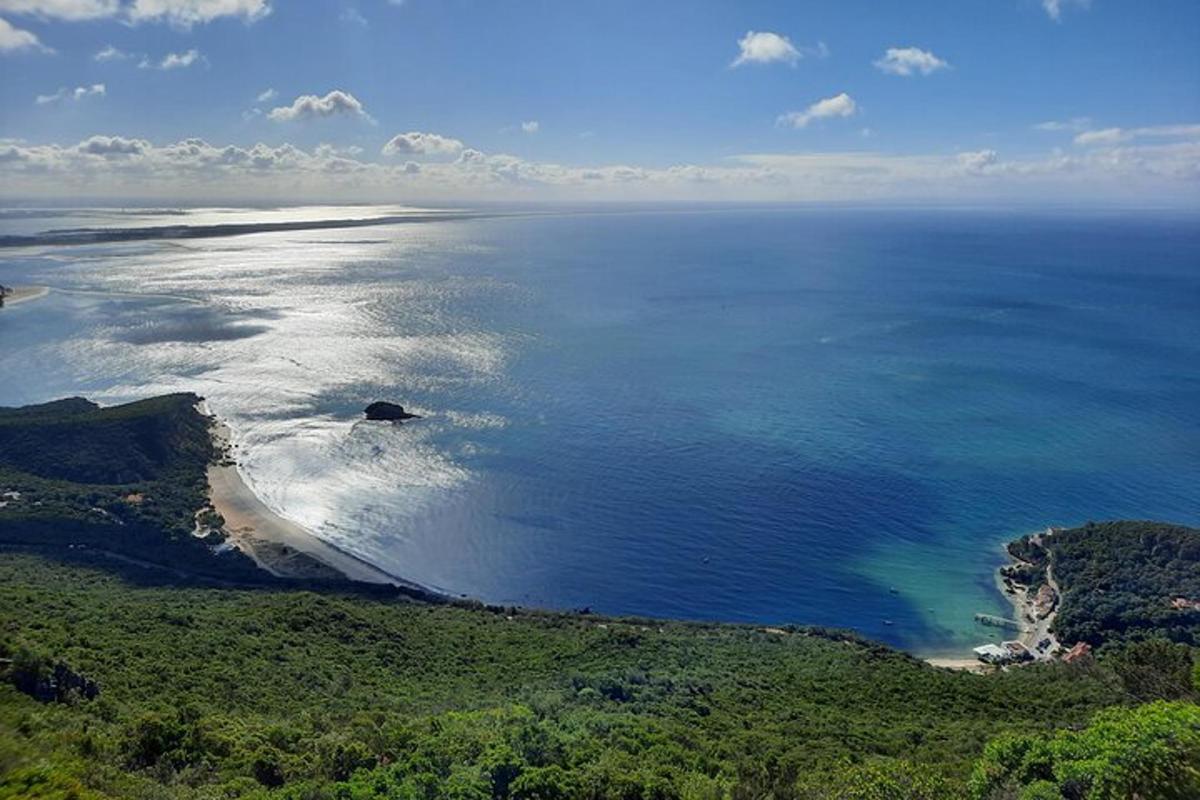 una vista aerea di una spiaggia e dell'oceano