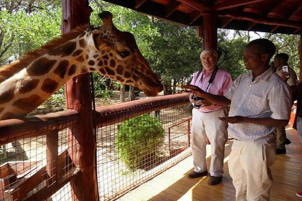 uma girafa colocando a cabeça sobre uma cerca com duas pessoas