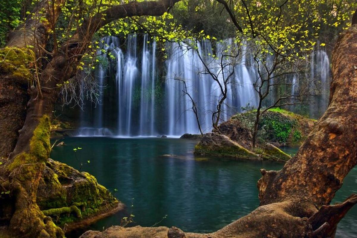 una cascata in una foresta vicino a un fiume