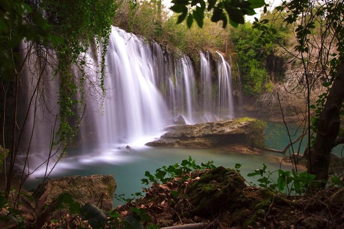 una cascata nella giungla con una pozza d'acqua