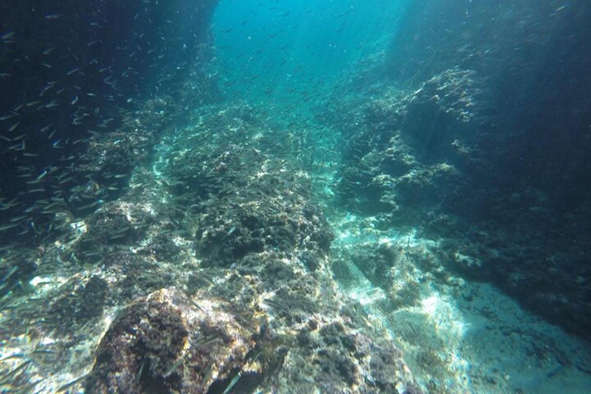 pohled na korálový útes v oceánu