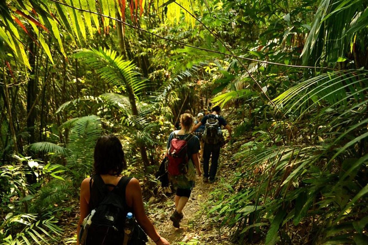 two people walking down a trail in the jungle