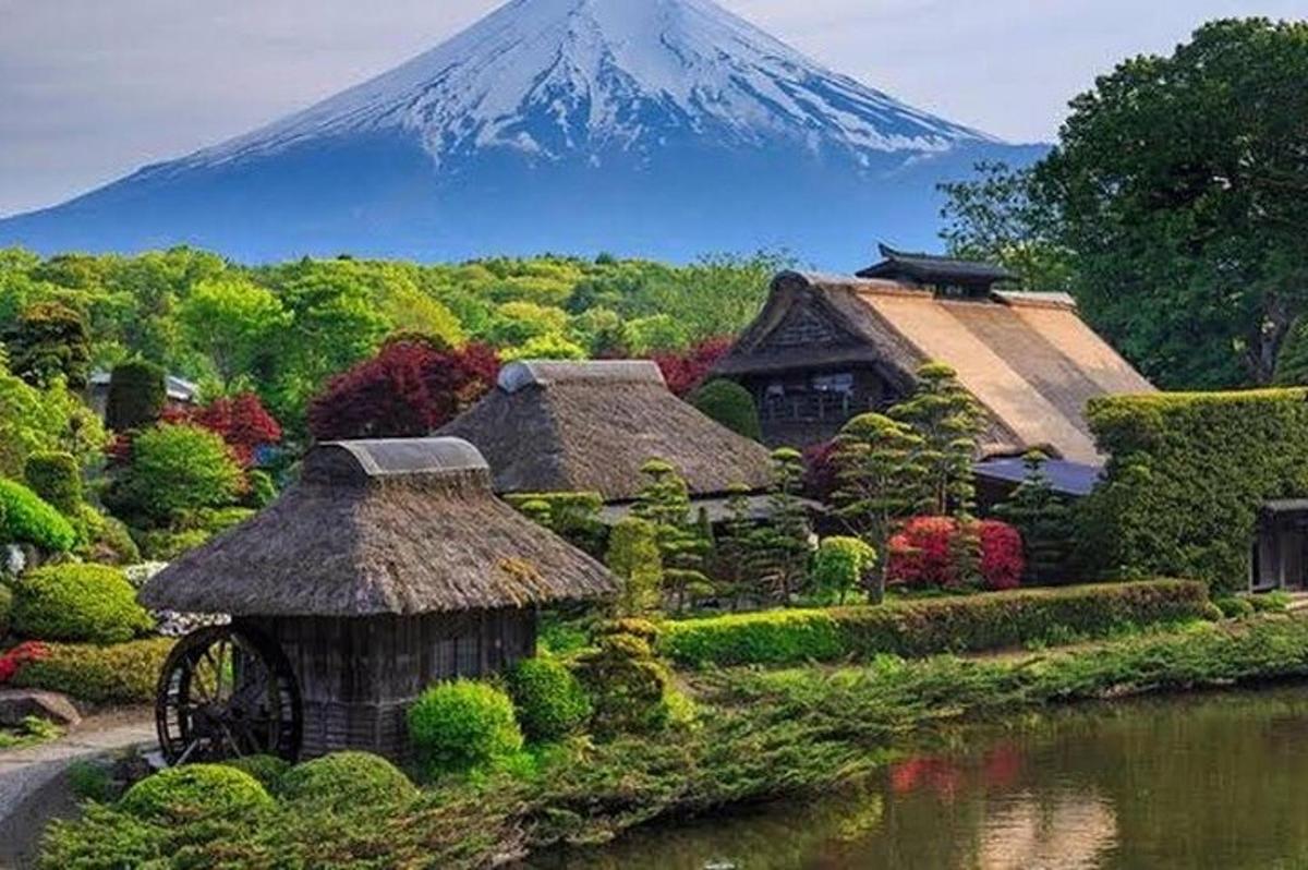 a mountain in the background of a garden with a house