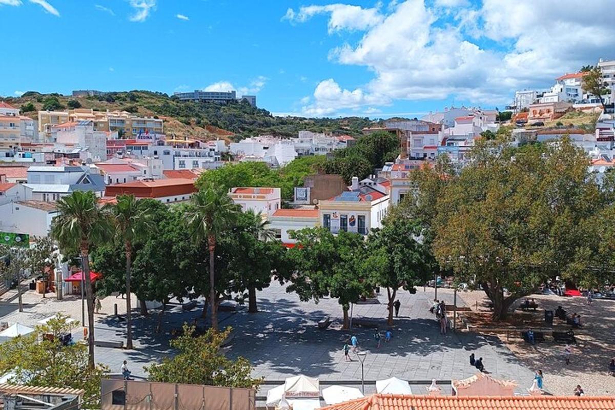 uma vista de uma cidade com árvores e edifícios