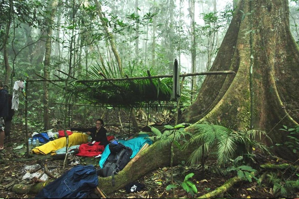 a man sitting on a tent in a forest
