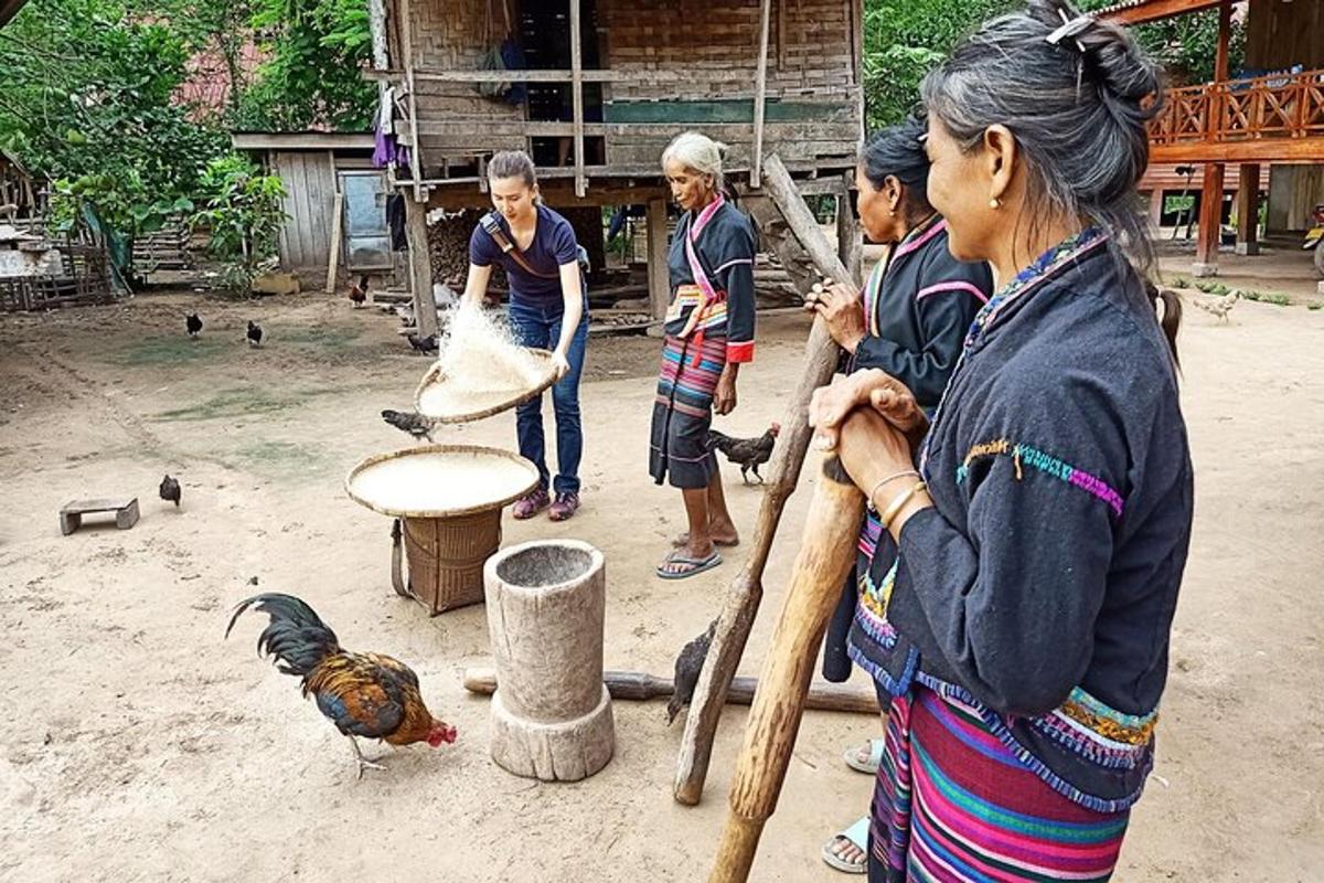 a group of people standing around a group of chickens