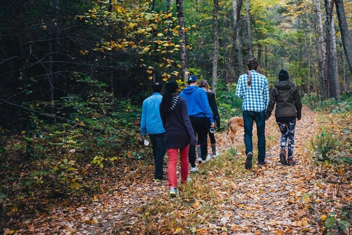 a group of people walking down a path in the woods
