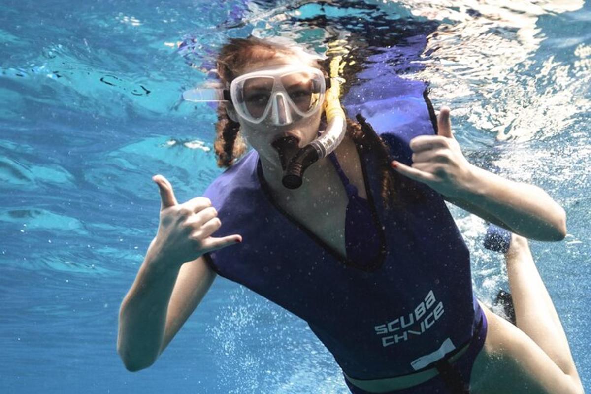 isang babaeng nakasuot ng diver suit sa tubig