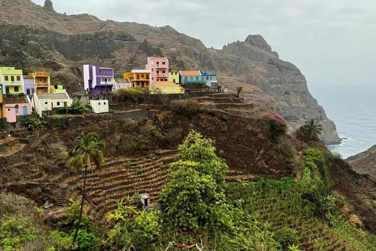 a group of houses on a hill near the ocean