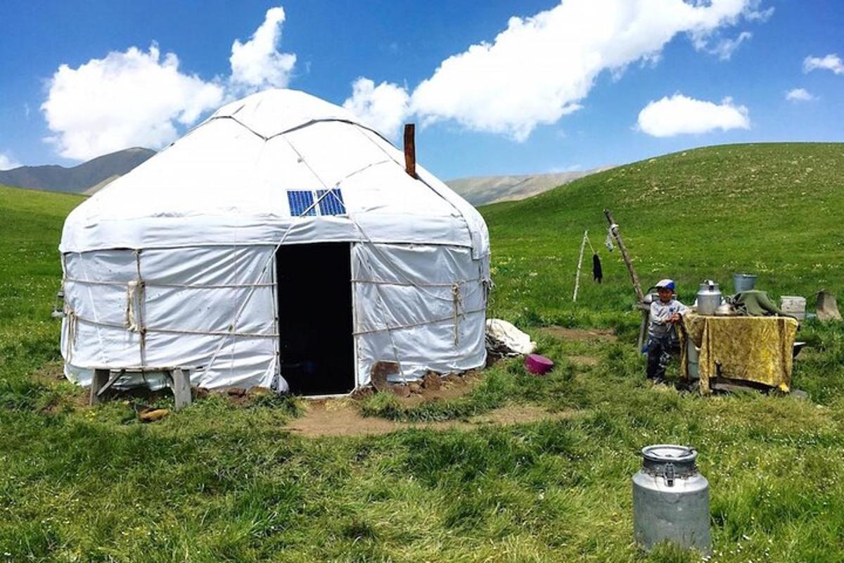 a yurt in a field with a person standing next to it