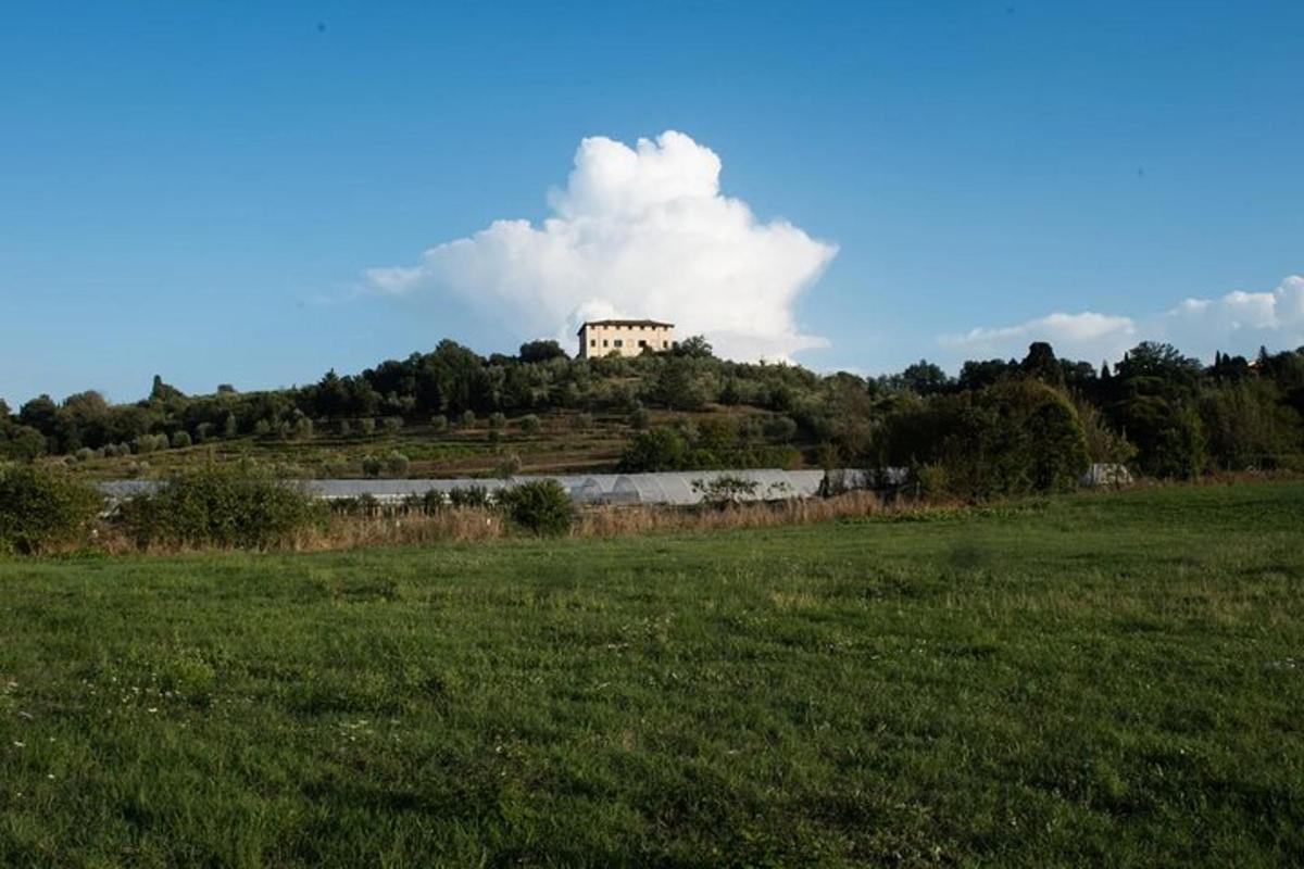 sebuah istana di atas bukit di padang