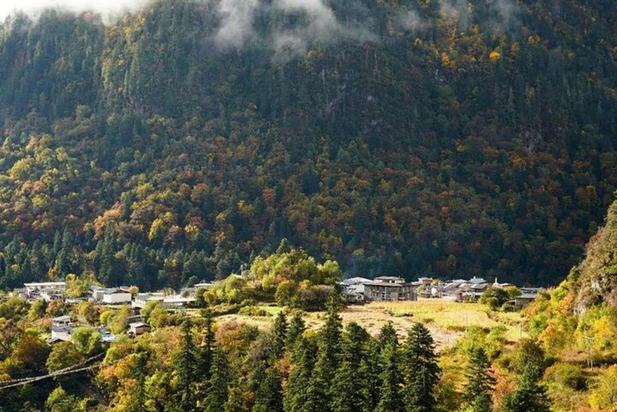 一座位于山中的小镇，周围有树木