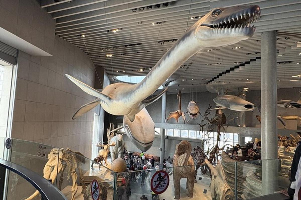 a museum with a dinosaur skeleton and other animals