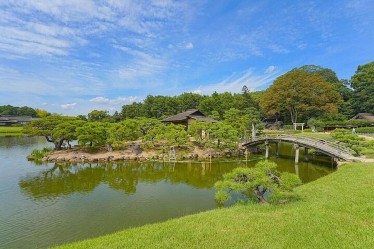 a bridge over a body of water with trees and grass