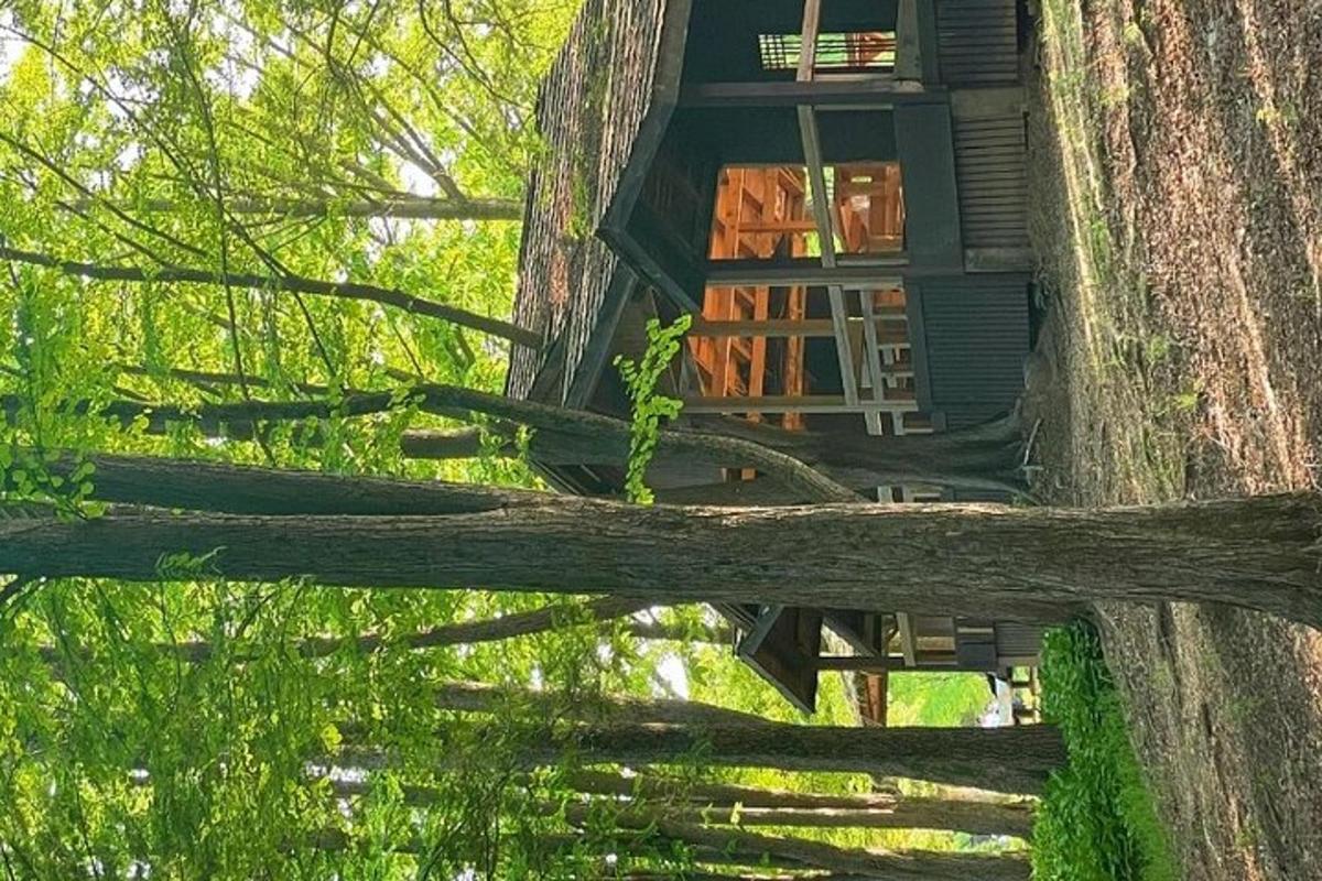 hišica na drevesu, zgrajena iz drevesnega debla