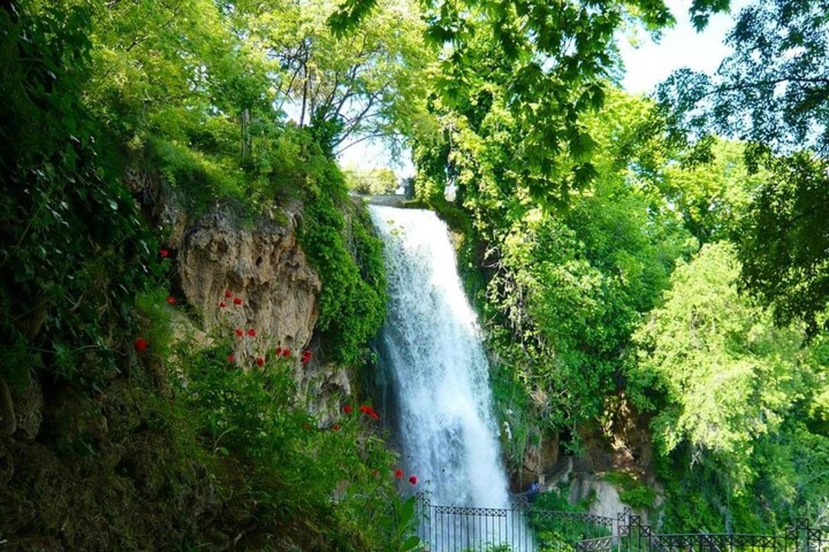 una cascata in mezzo a una foresta