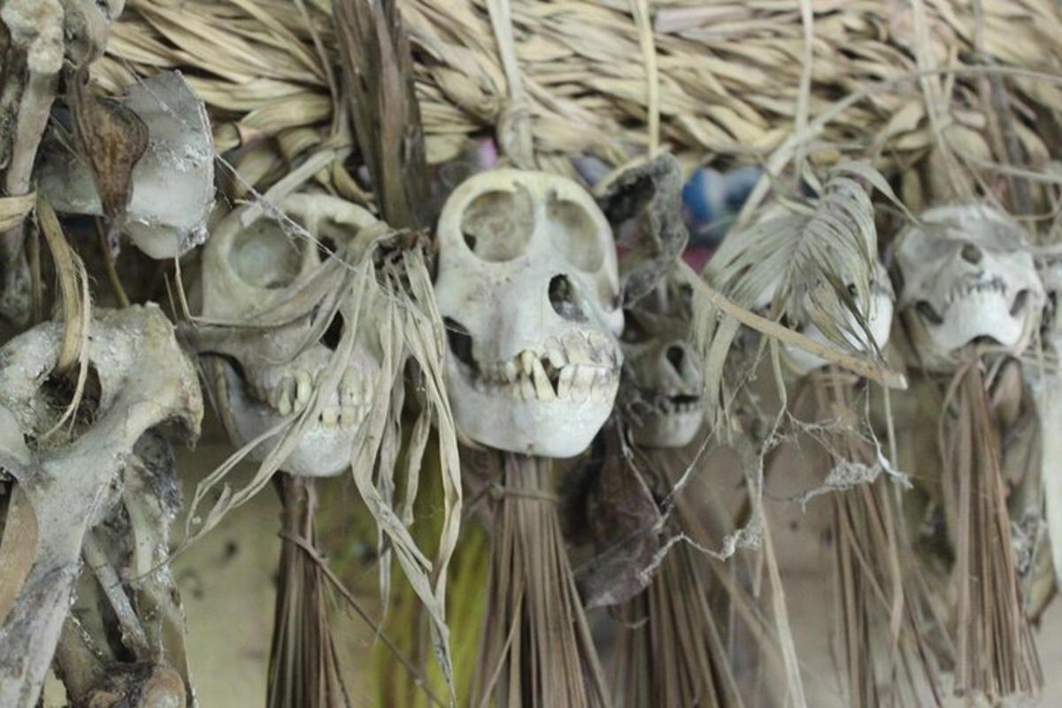 a group of skulls hanging on a wall