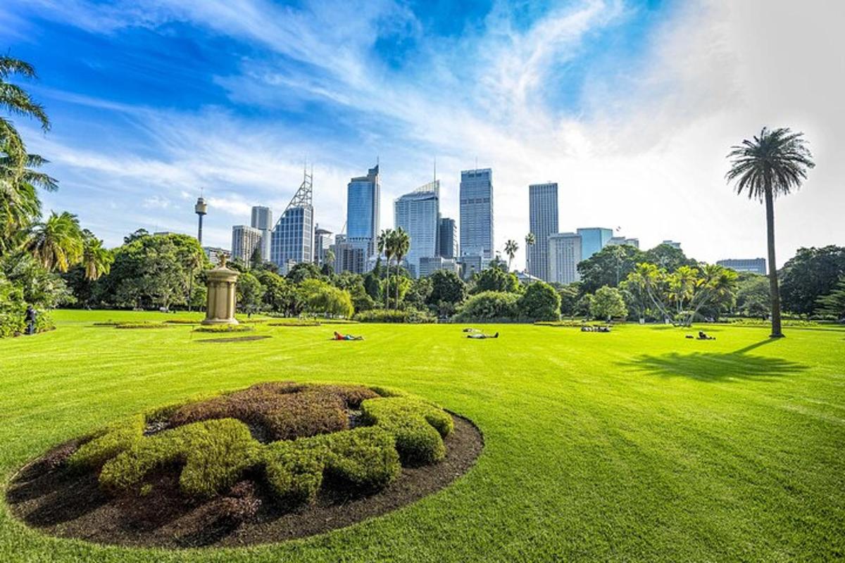 un parco verde con una città sullo sfondo
