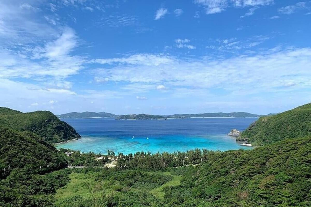 a view of a large body of water with trees