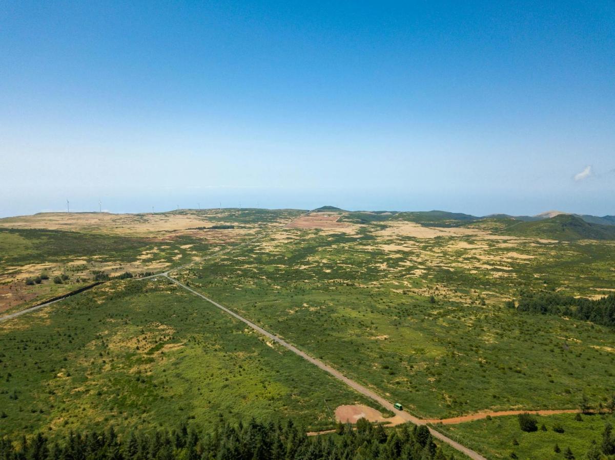 o vedere aeriană a unui câmp cu copaci și munți