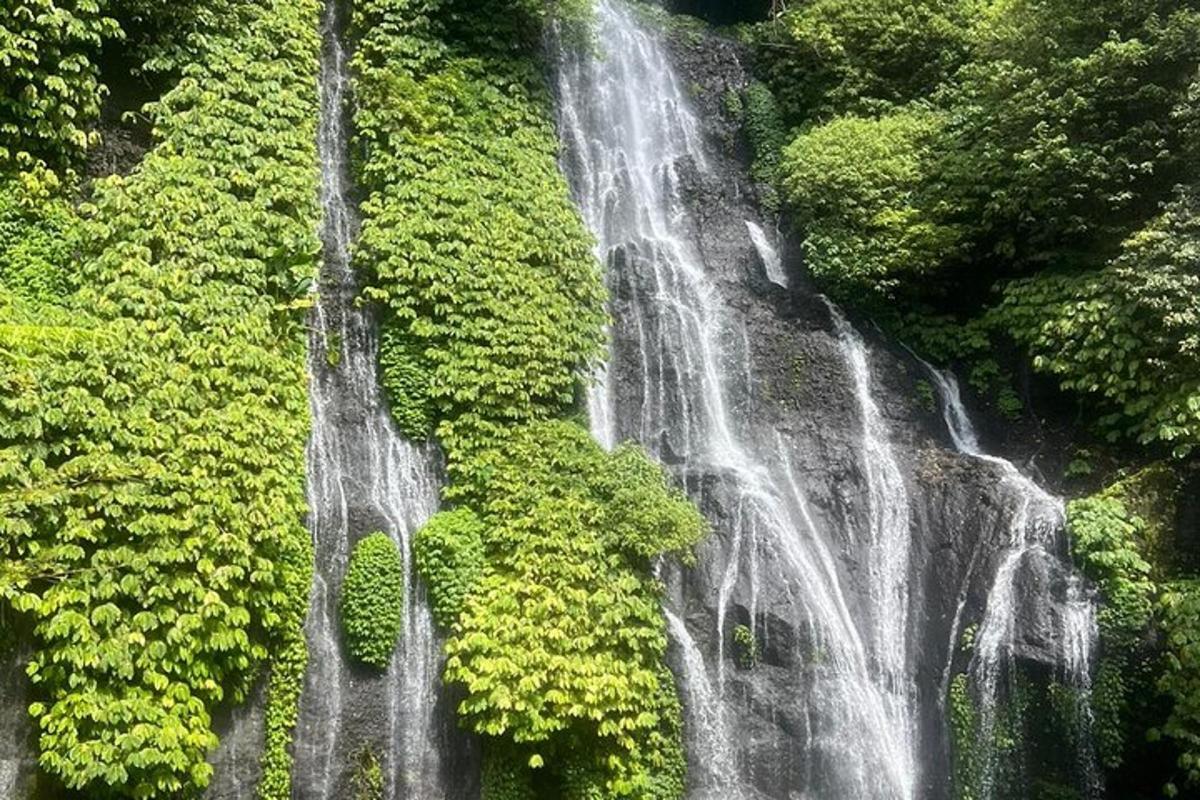 vista aèria d'una cascada en un bosc