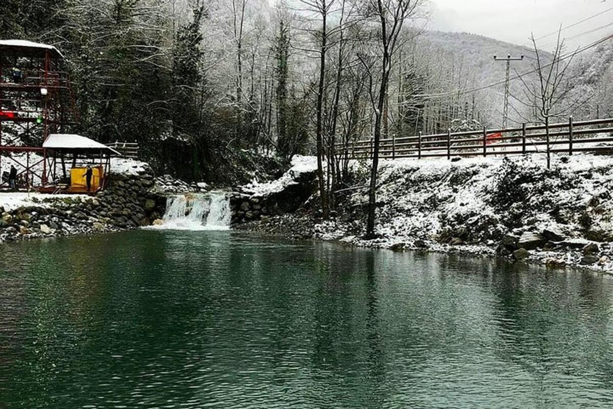 reka s slapom in vlak na mostu