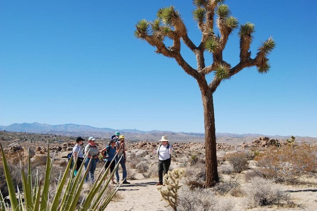 a group of people walking in the desert with a palm tree