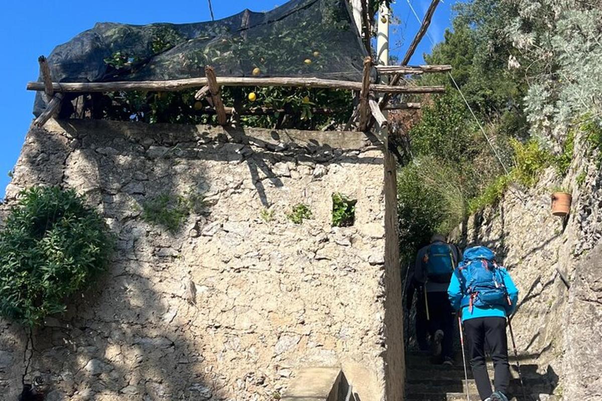 ένα άτομο που ανεβαίνει μια σκάλα προς ένα κτίριο