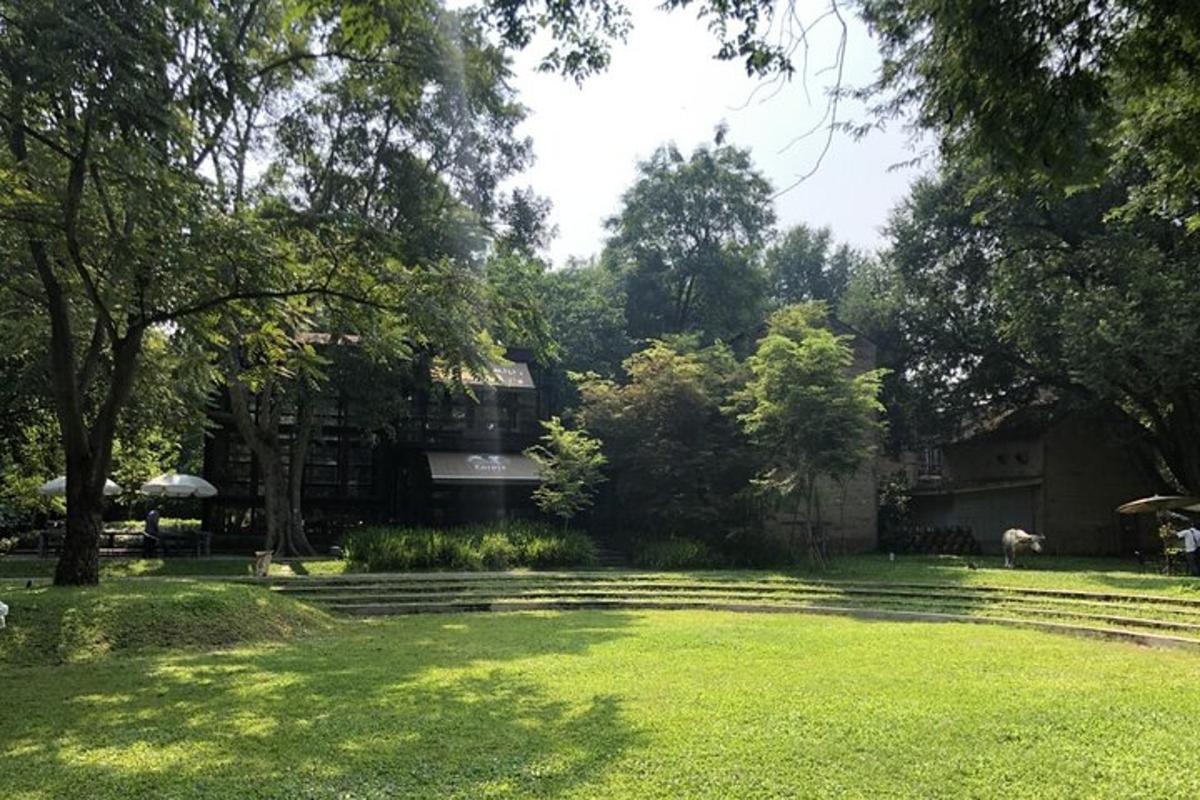 un cortile con erba verde, alberi e una casa