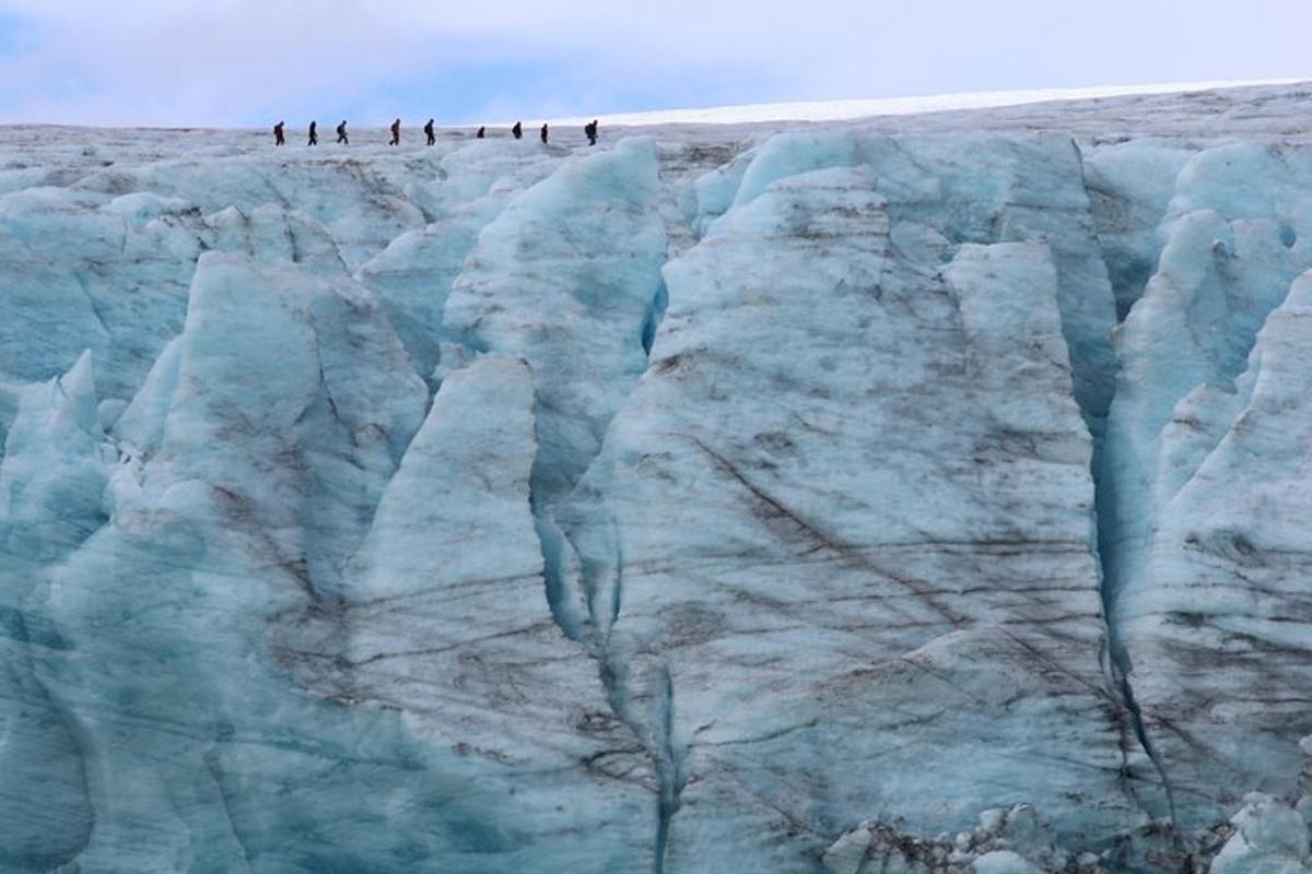 a group of penguins standing on top of a glacier