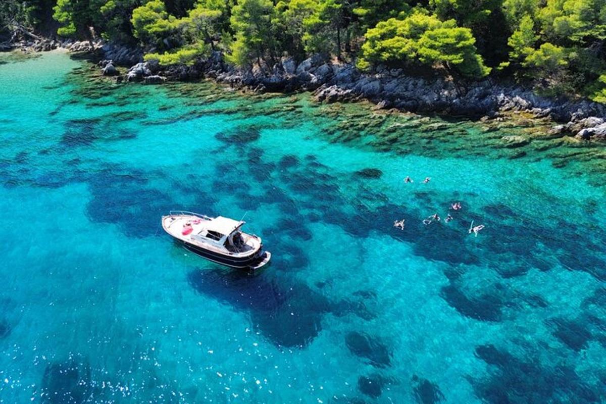 μια βάρκα σε ένα υδάτινο σώμα με δέντρα