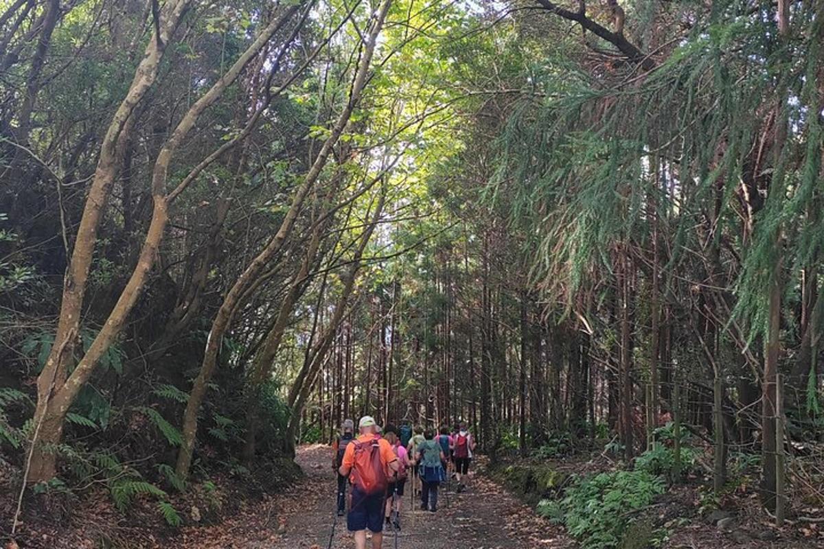 sekumpulan orang berjalan menyusuri denai hutan