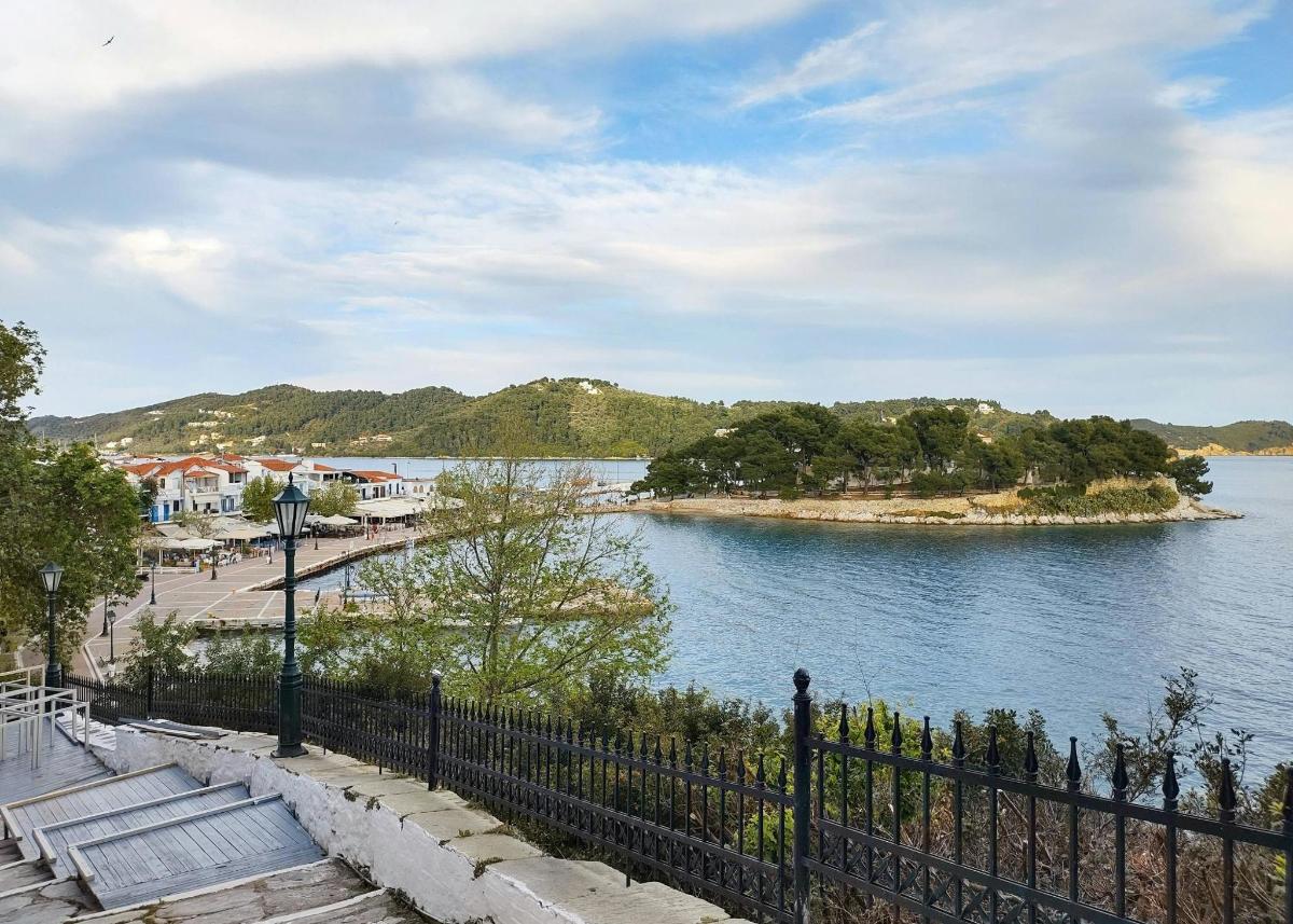 a view of a body of water with a black fence