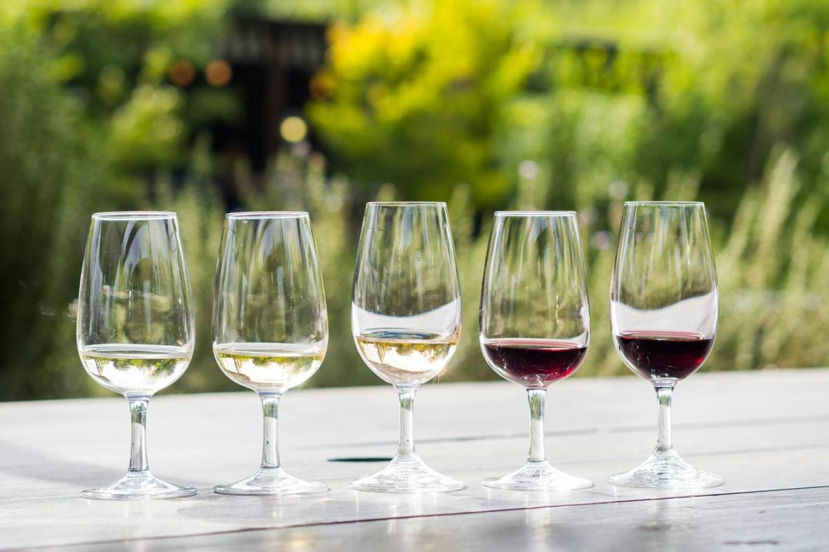 Un grupo de cuatro copas de vino sobre una mesa.
