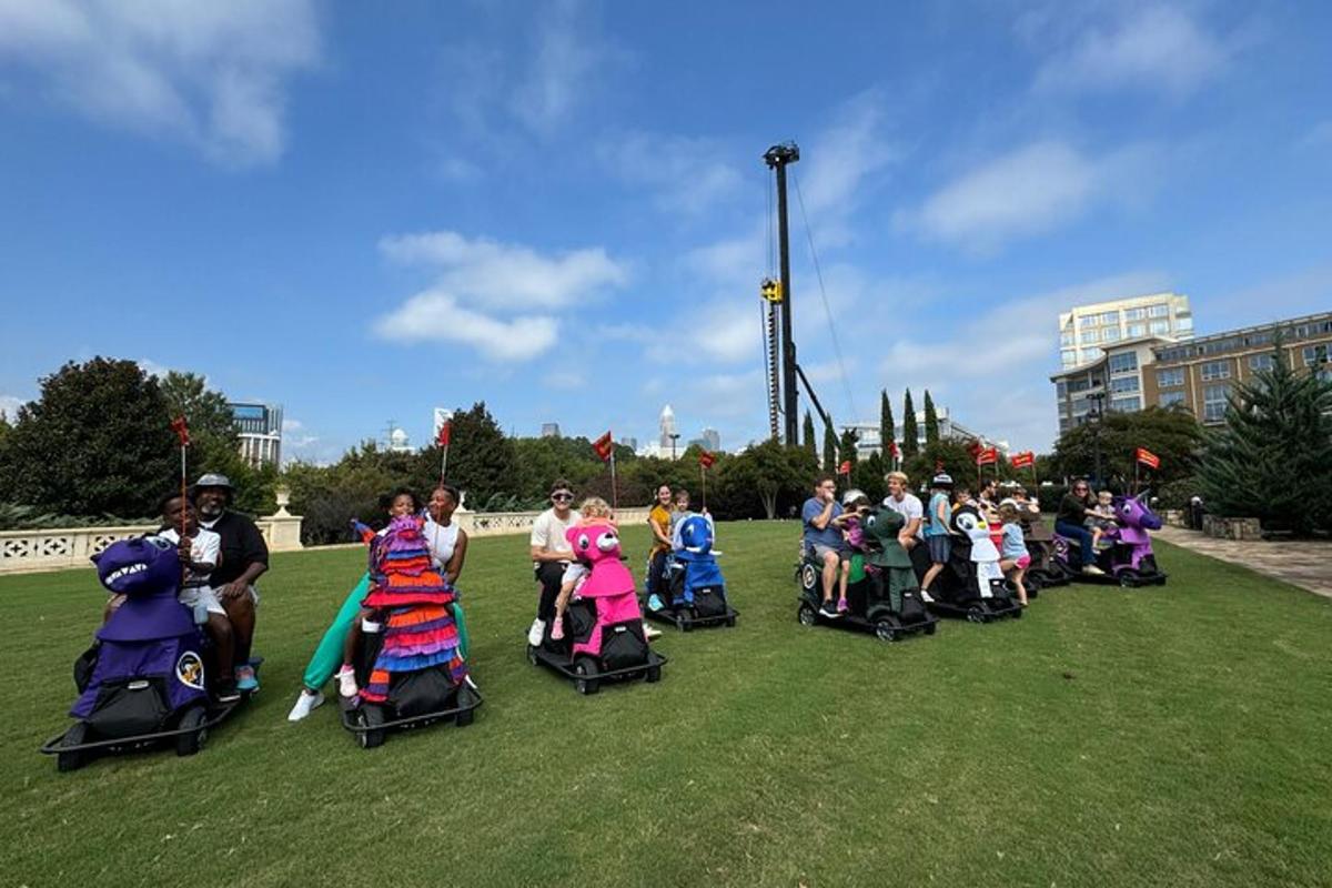 a group of people in wheel chairs on the grass