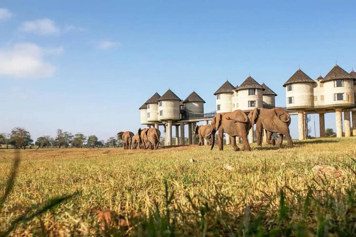 a herd of elephants standing in front of a large building