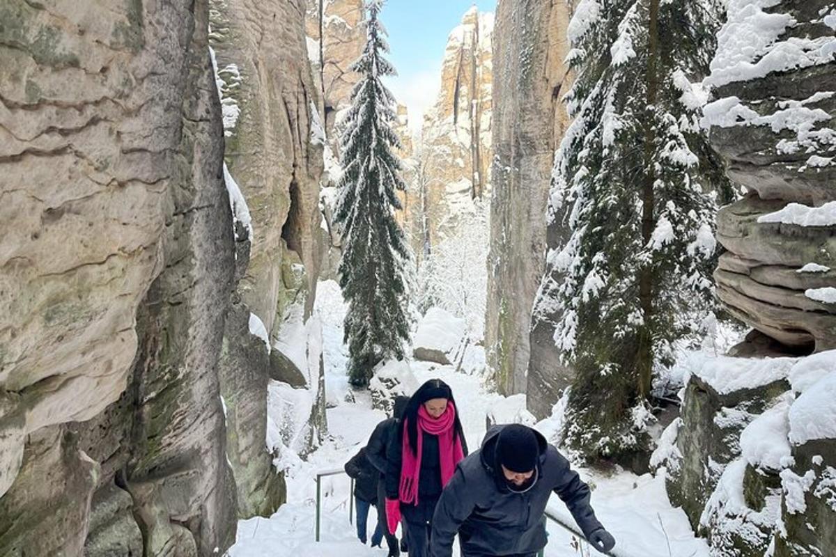 Un hombre y una mujer caminando por un bosque cubierto de nieve.